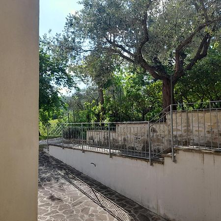 Camping Agriturist Sant'Anna Castelplanio Cameră foto
