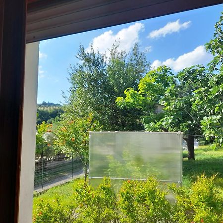 Camping Agriturist Sant'Anna Castelplanio Cameră foto