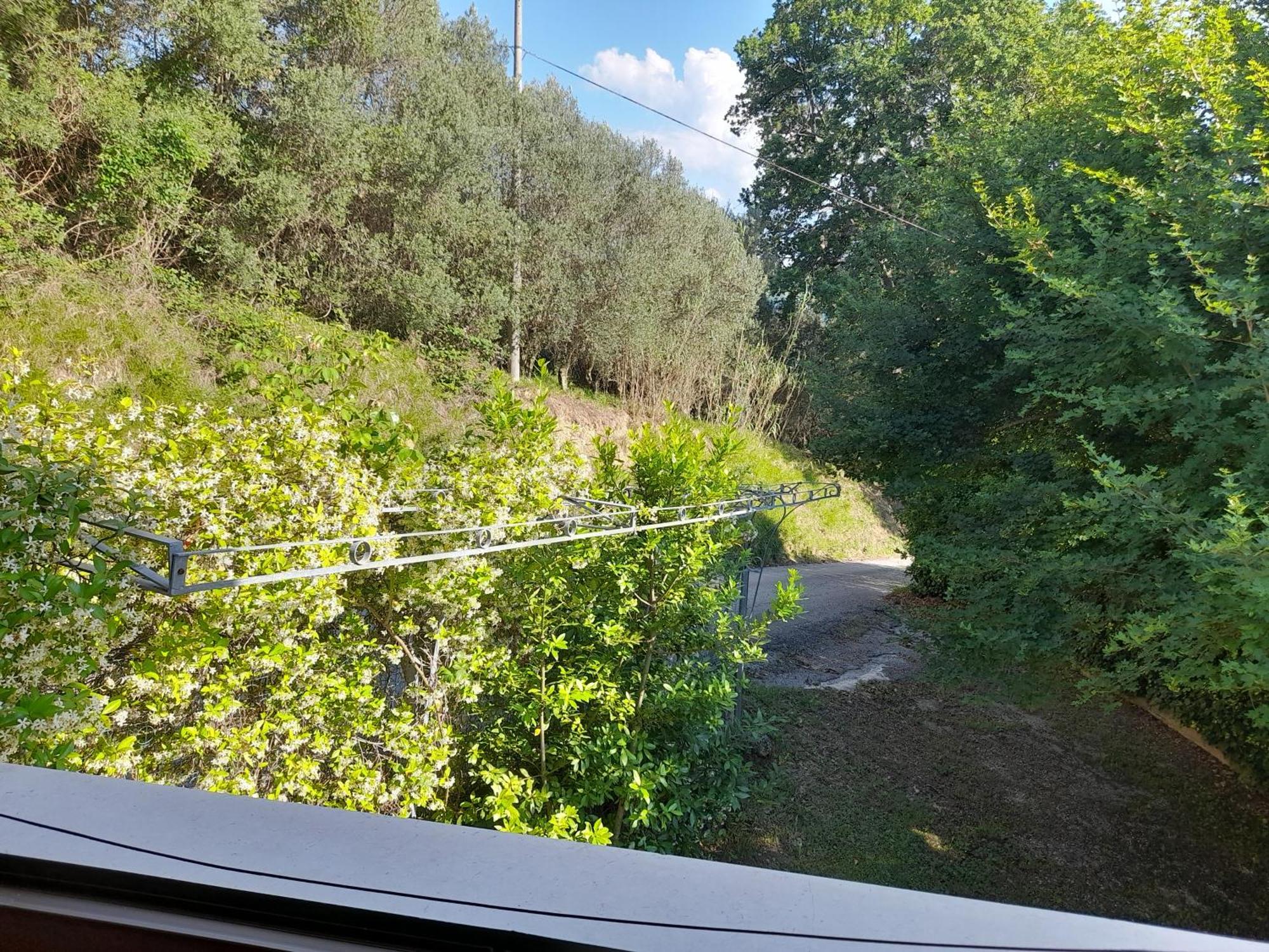 Camping Agriturist Sant'Anna Castelplanio Cameră foto